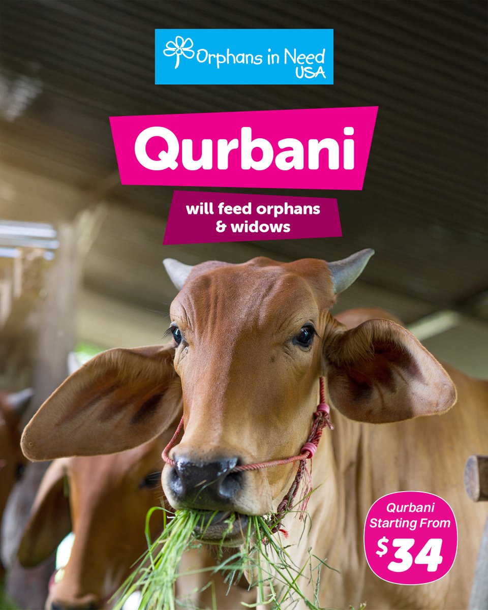 OIN_USA's tweet image. Sri Lanka is facing a hidden hunger crisis. 

This Dhul Hijjah, your Qurbani is a vital nutritional lifeline for orphans &amp;amp; widows. Turn your sacrifice into their mercy.

Book now - oinusa.org/religious-dues…

#SriLanka #Qurbani2026 #OINUSA #OrphansInNeedUSA #DhulHijjah