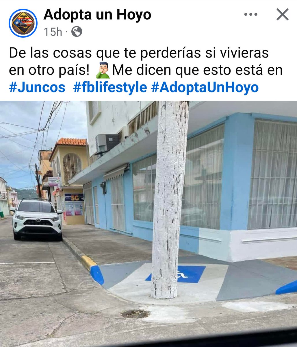 Stephanie Krüger 🇵🇷 🇩🇪 tweet media
