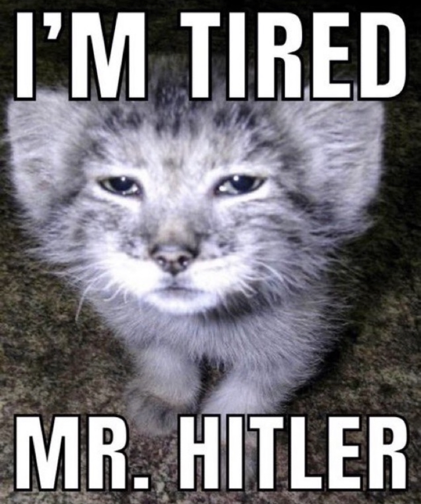 ShitpostGateway tweet media