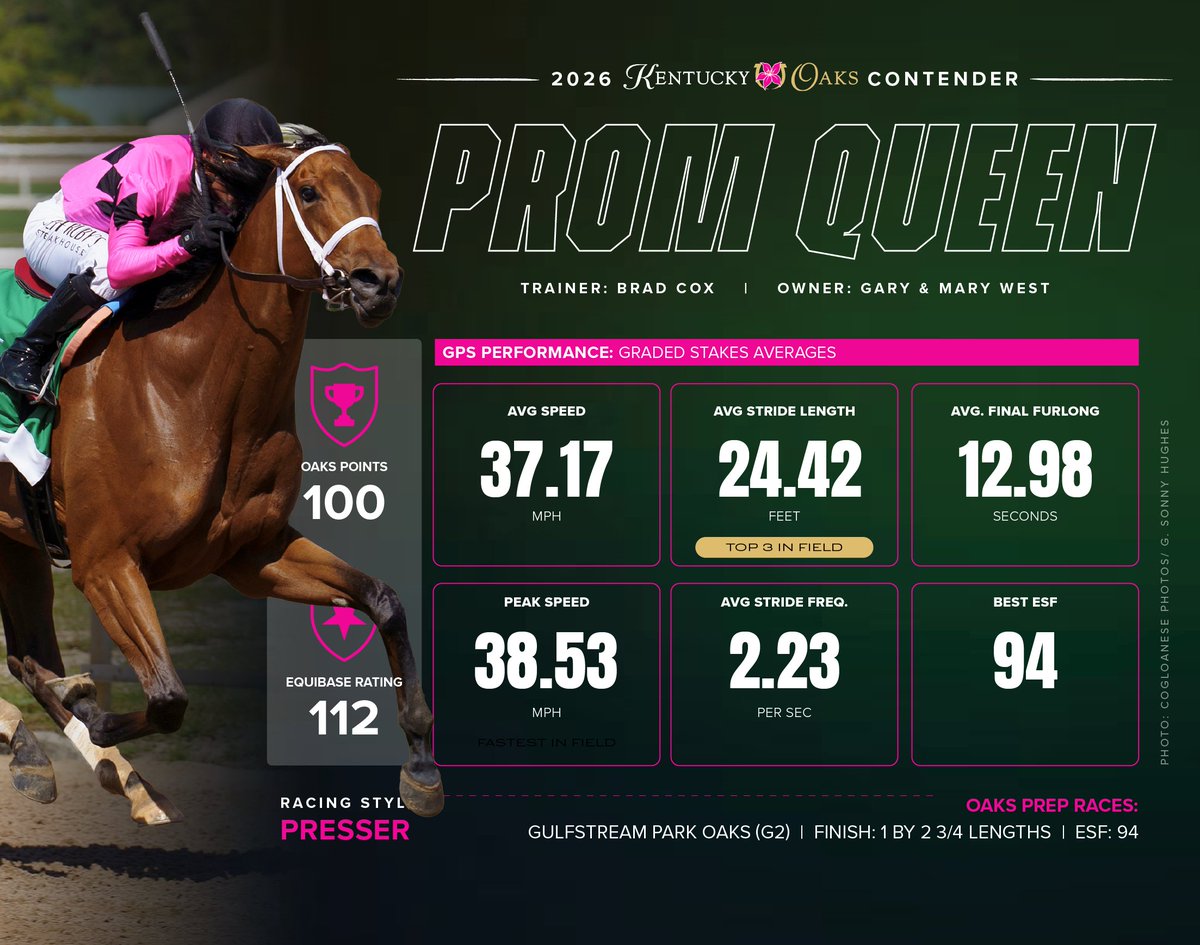 Comparing #KyOaks contenders EXPLORA, ZANY, PROM QUEEN and PERCY'S