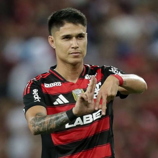 Miranha da Gávea tweet media