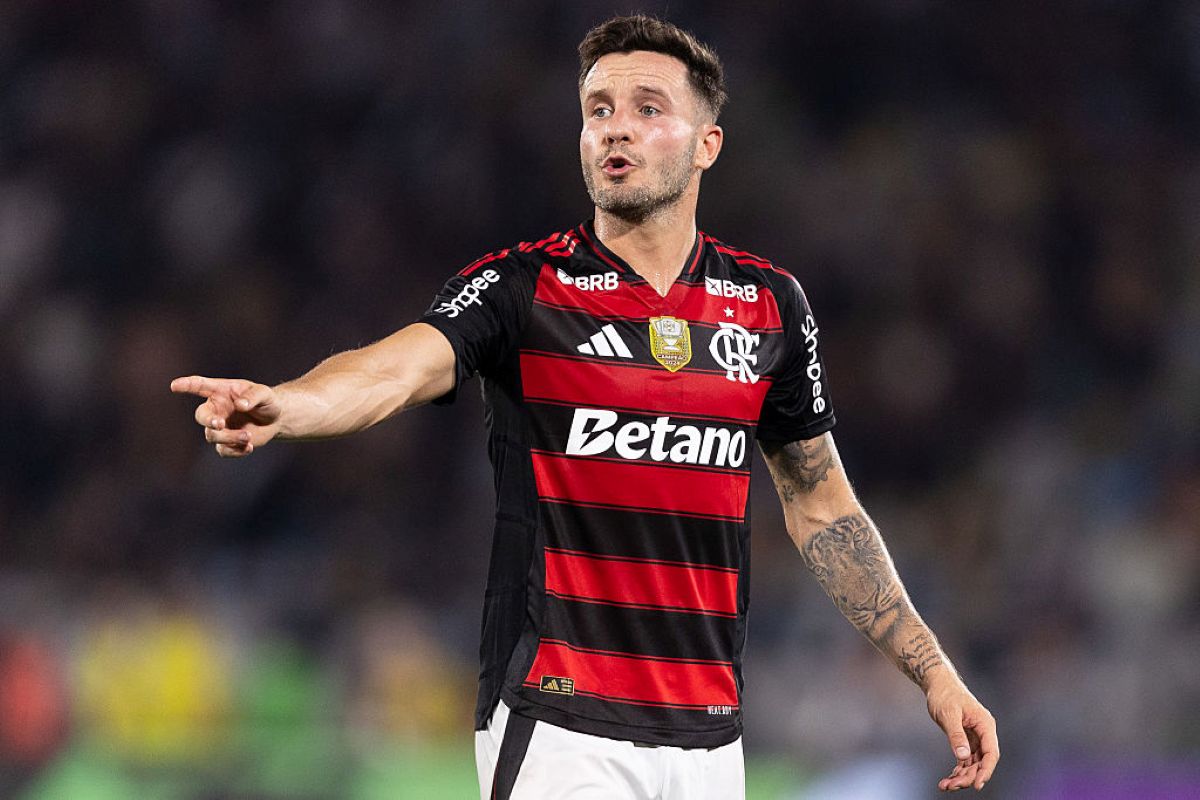 Miranha da Gávea tweet media