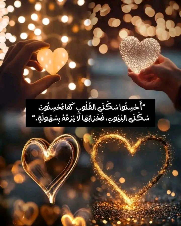 Nour 💍❤ tweet media