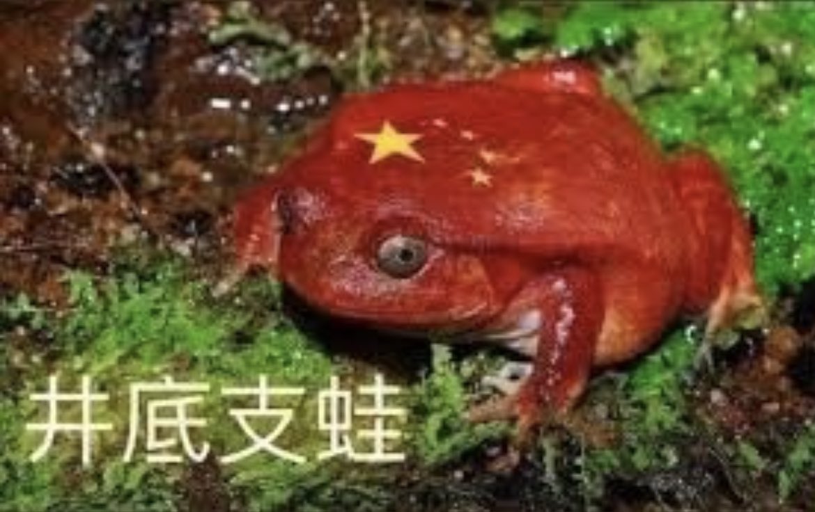 瓜子Online_瑪秋Mode 🇹🇼 tweet media