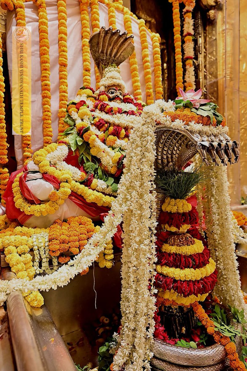 ShriVishwanath's tweet image. श्री काशी विश्वनाथ जी की श्रृंगार आरती I
#kashivishwanath #kashi #hindu #sanatandharm