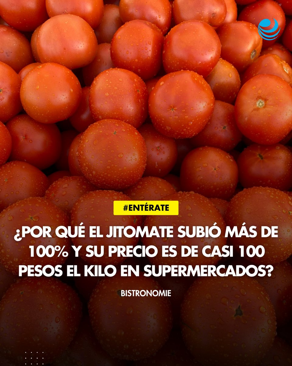 🍅 La escalofriante subida del jitomate: en supermercados, el precio por kilo se dispara a casi 100 pesos. ¿Qué está pasando? Expertos revelan las causas. 📈 bit.ly/42dYDDn