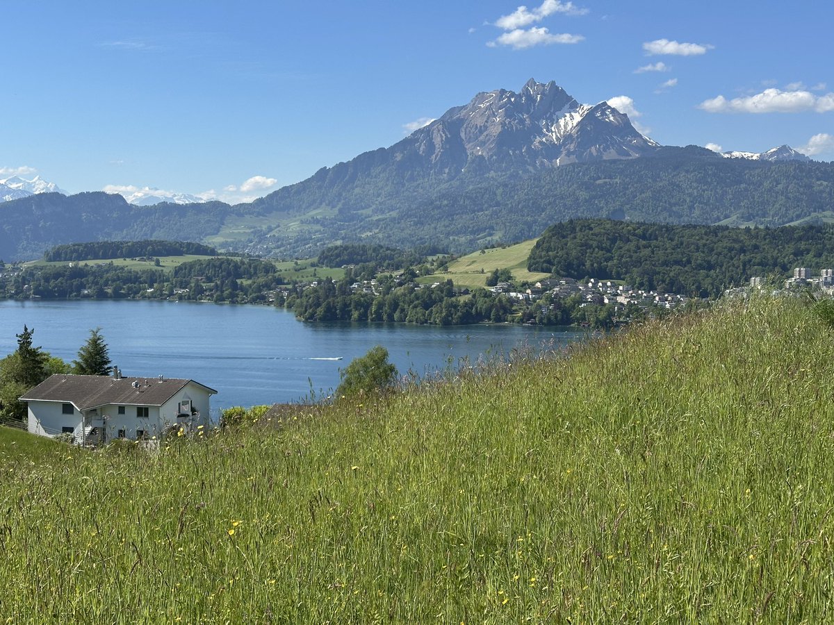 sofiehofmann's tweet image. Mount Pilatus, Lake Lucerne View! 
Golf Meggen, Meggen, Switzerland 🇨🇭 

Played tenth round of golf, 18 holes, for this year 2026. Walked 9.6 km. 

Played the ninth round, 9 holes only though, on April 27, 2026. 

#switzerland #golfmeggen

©SofieHofmann.com
26050105112601