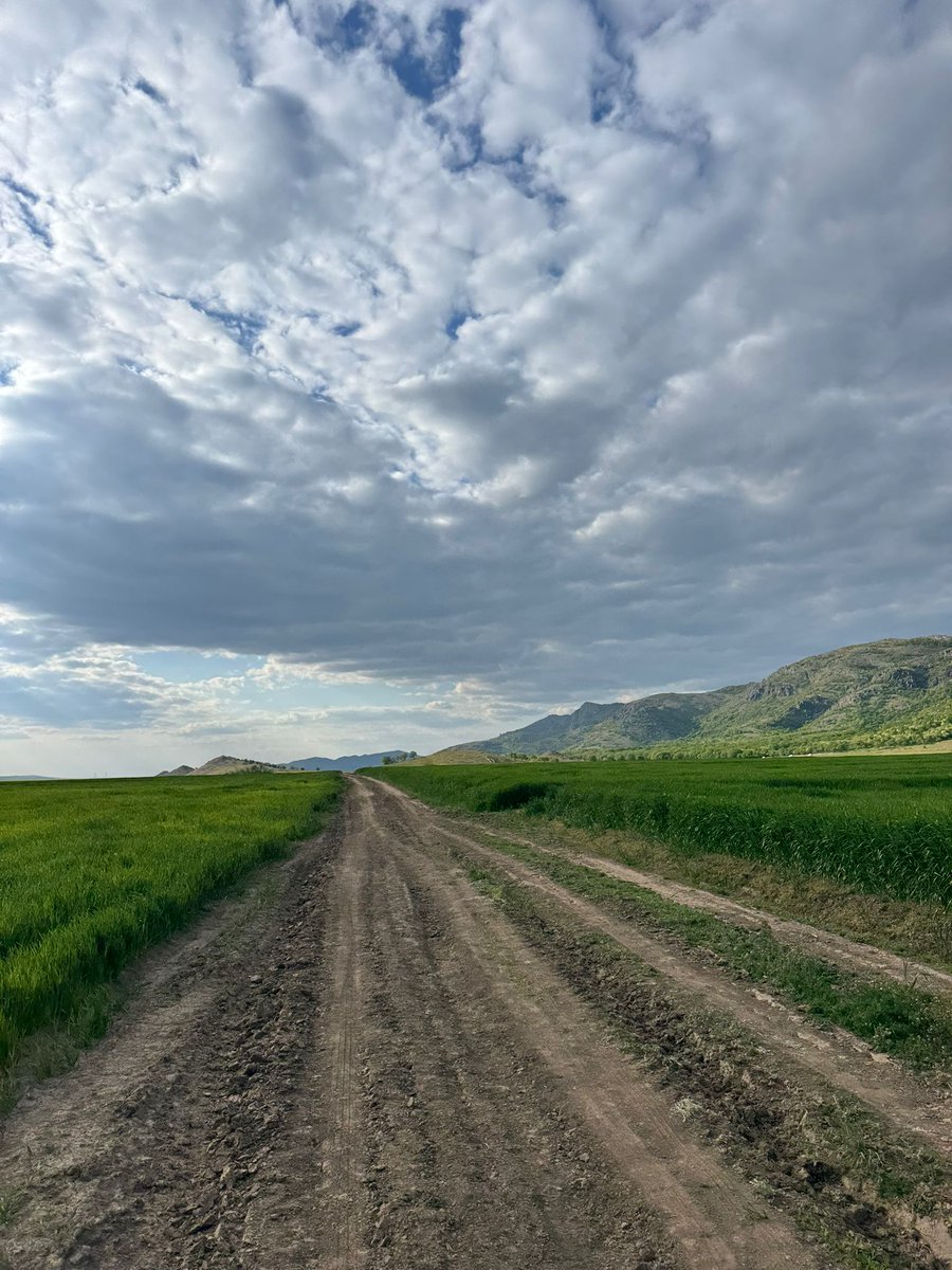 Travel_2Romania's tweet image. Prin munții Măcinului din Dobrogea!🐎🐏🌿🌤️#România