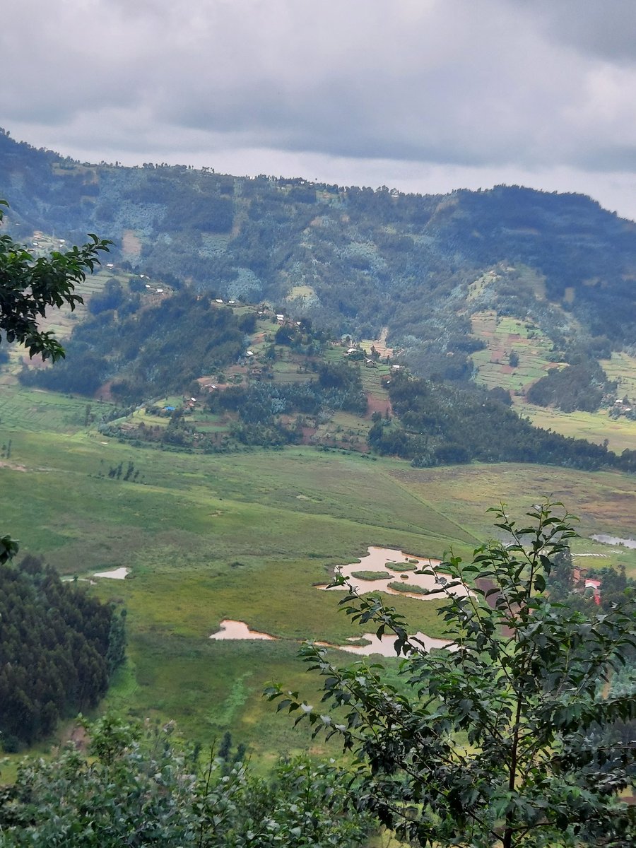 VISIT RWANDA 🇷🇼 tweet media