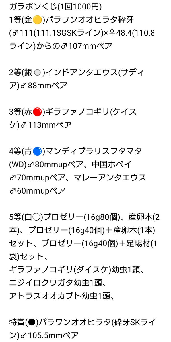 ペ*コ様 3901☘️1年間管理株☘️⭐️超小輪⭐️torquatus x mu ダイジー (@daisykurume) / Posts / X