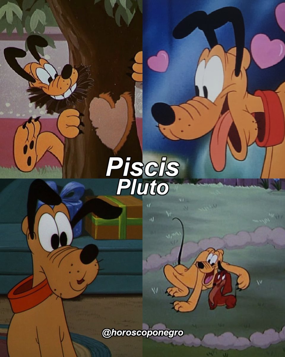 piscis_hn's tweet photo. ¿Qué perro de dibujos animados eres según tu signo? ✨🔮 https://t.co/ee9OlW0H8n