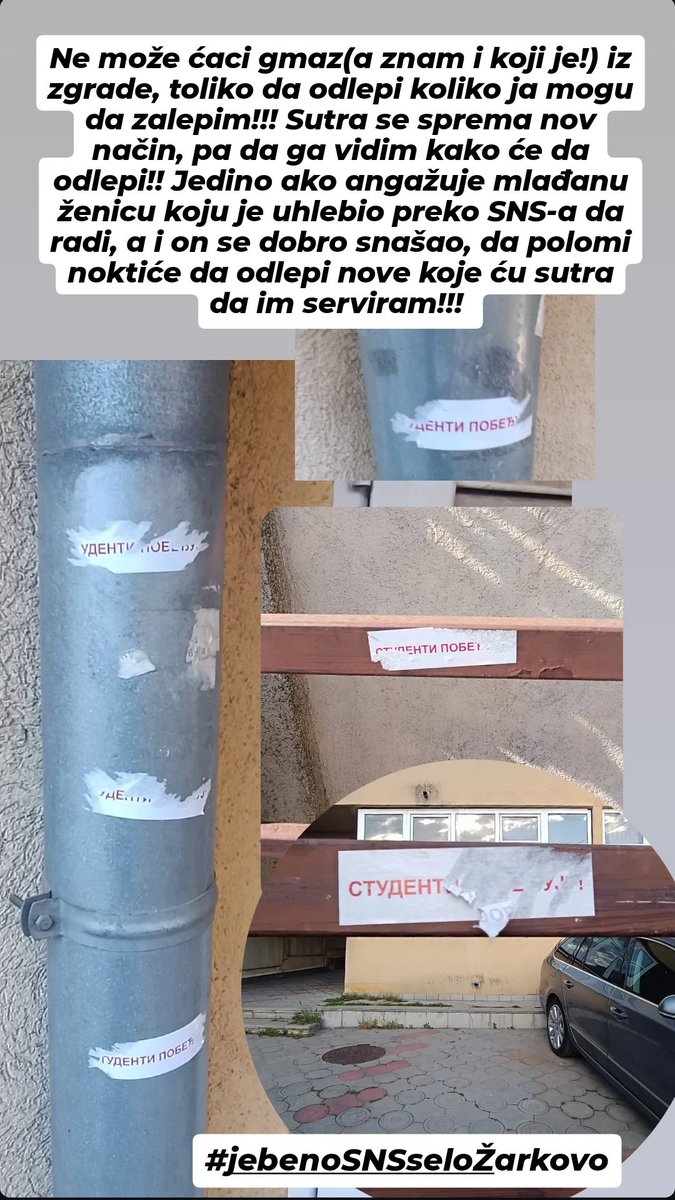 Snežana tweet media
