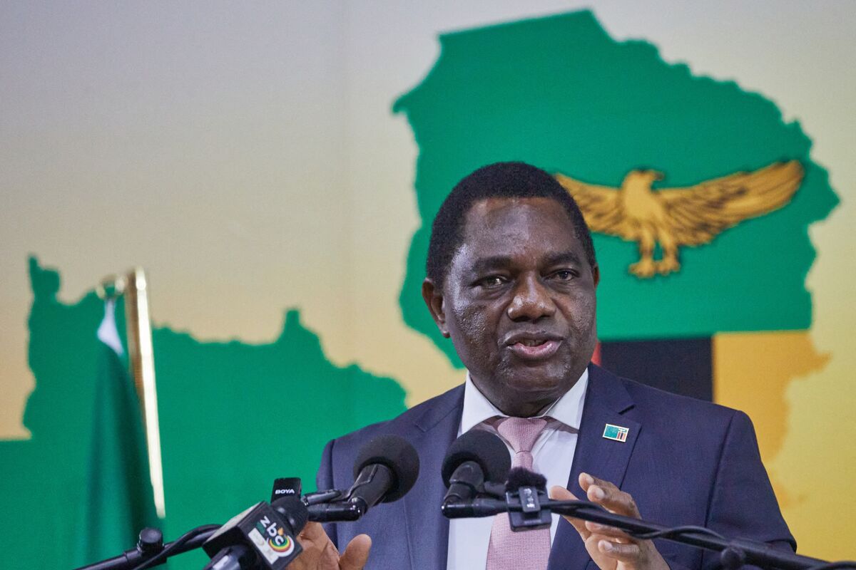 New Direction AFRICA tweet media