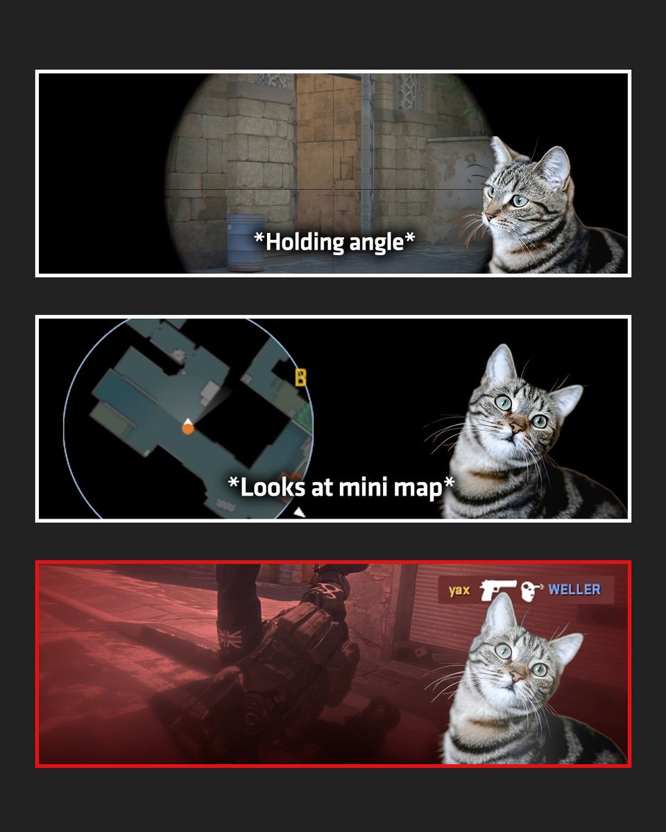 AMD Gaming tweet media