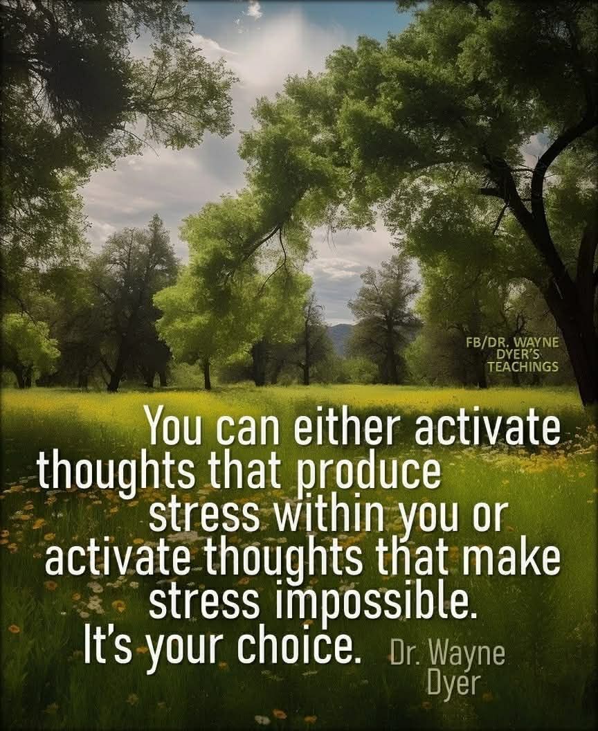 CureCancerUCL's tweet image. Living with cancer is one thing .  now skin cancer  to be added to that list . It’s stressful I won’t lie #Live #Support #Donate #Cancer #Survivor #CancerSurvivor #GiveBack.  curecancer-Ucl.org