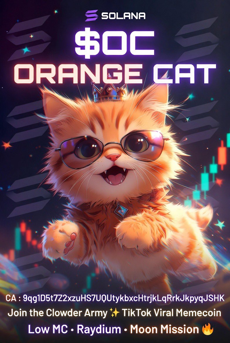 Orange Cat 🍊🐈 tweet media