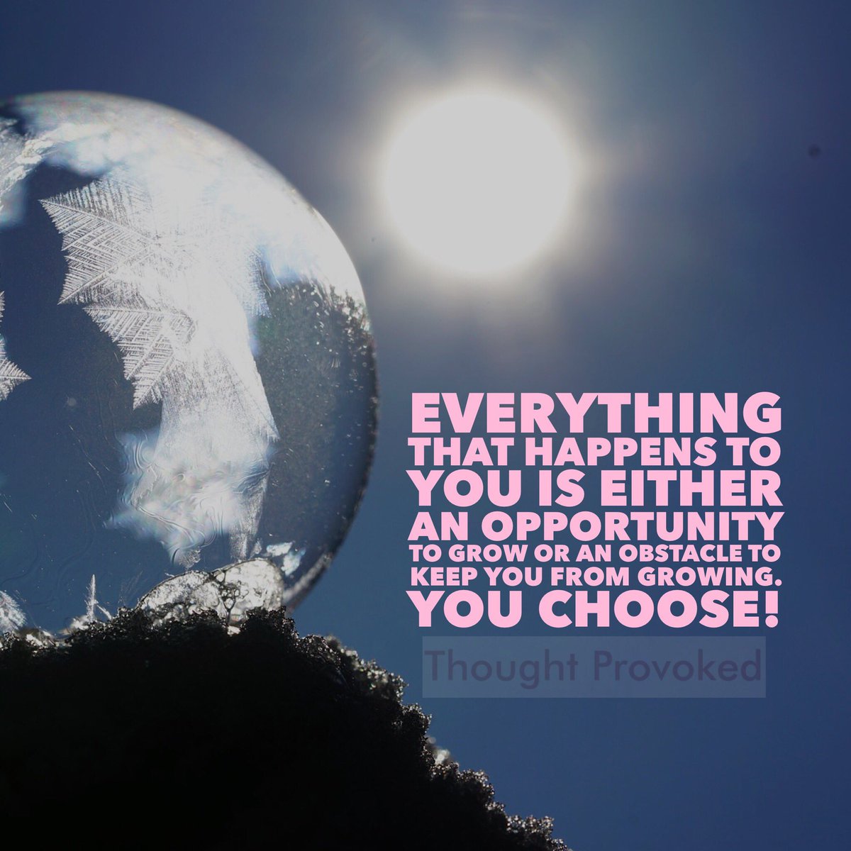 thoughtprovoke4's tweet image. You choose!
#quote
#IQRTG