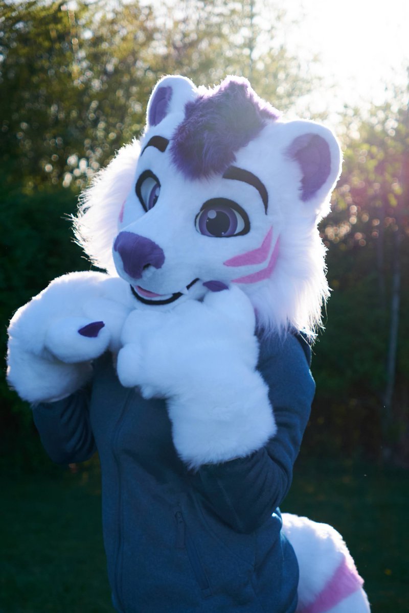 GoFurItstudios's tweet photo. Have you seen this tiggy prowling around? Definitely more cute than fierce but we won't tell him that! 😄

#fursuitfriday https://t.co/f57xYoFj8I