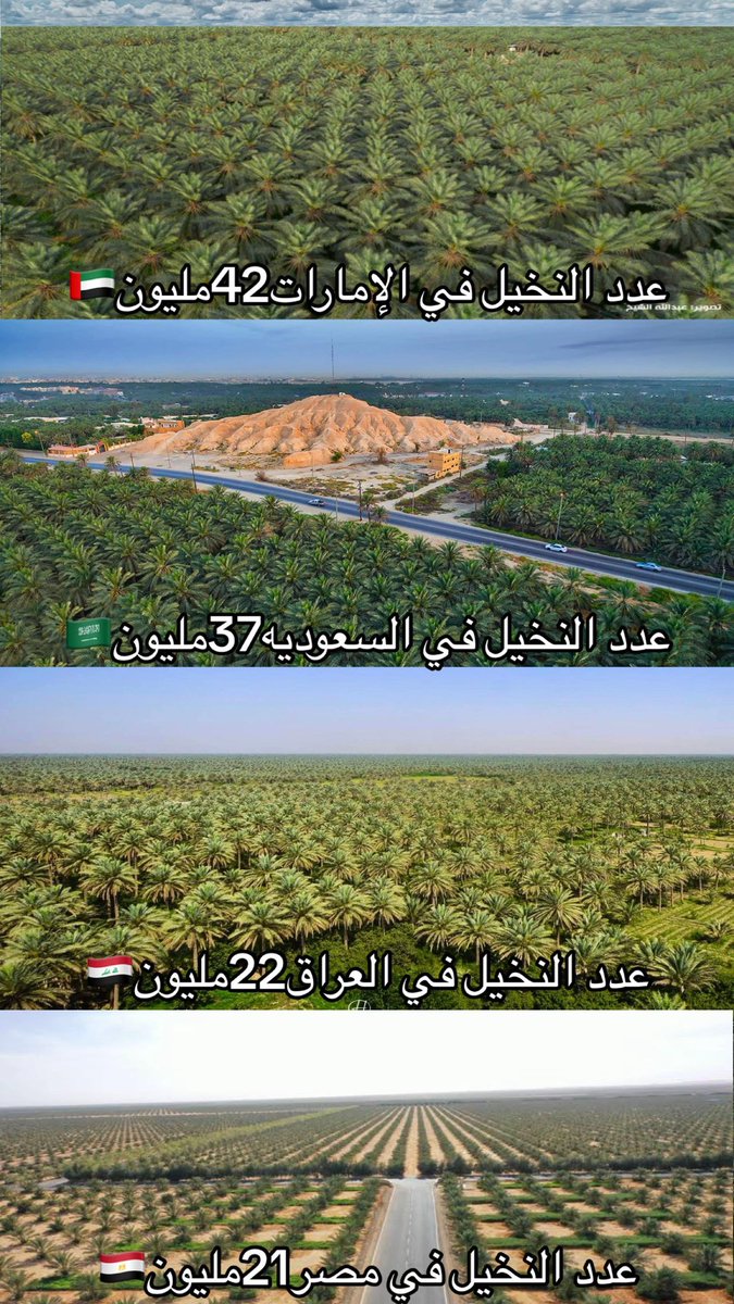 منبر الإمارات | UAE Forum tweet media
