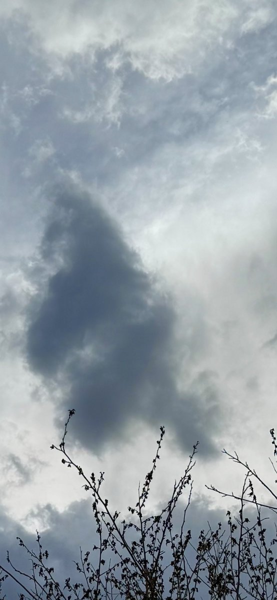 jonimarielew's tweet image. #Clouds #Nevada #desert