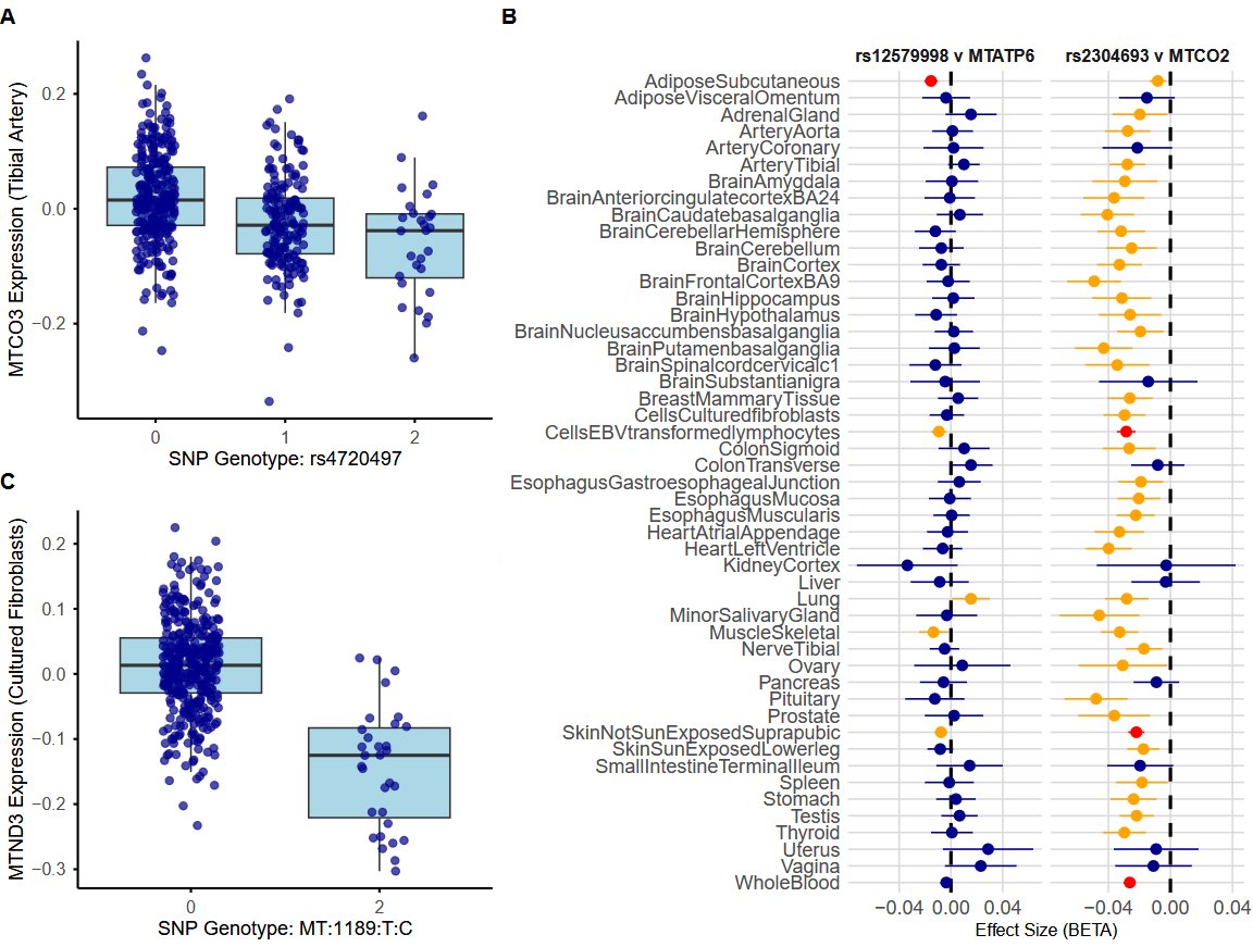 ScienceofPD's tweet image. Analysis of tissue-specific mitochondrial RNA processing of 377k @uk_biobank cases finds "signif. associations between predicted mtDNA transcript abundance &amp;amp; multiple common diseases &amp;amp; quantitative traits"; #Parkinsons associations involve Complex I genes
nature.com/articles/s4146…