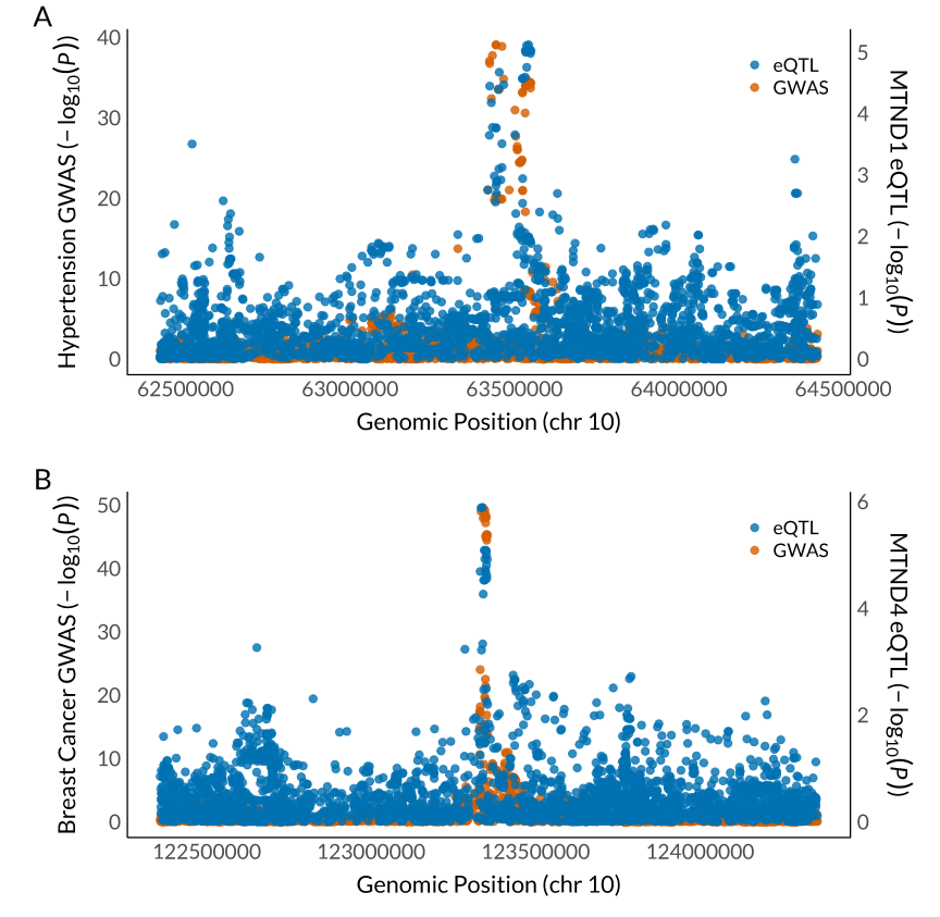 ScienceofPD's tweet image. Analysis of tissue-specific mitochondrial RNA processing of 377k @uk_biobank cases finds "signif. associations between predicted mtDNA transcript abundance &amp;amp; multiple common diseases &amp;amp; quantitative traits"; #Parkinsons associations involve Complex I genes
nature.com/articles/s4146…