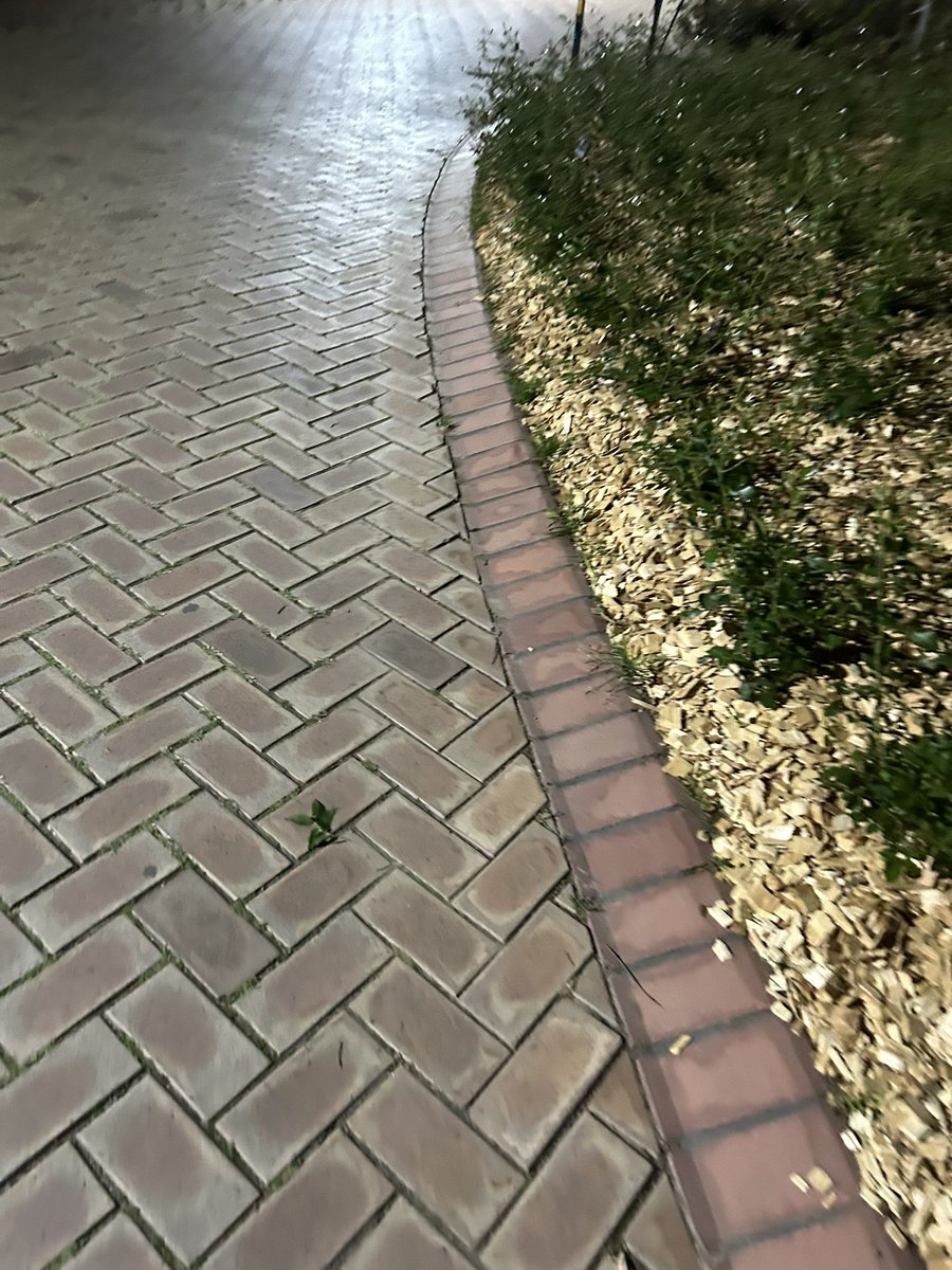 비비빅 tweet media
