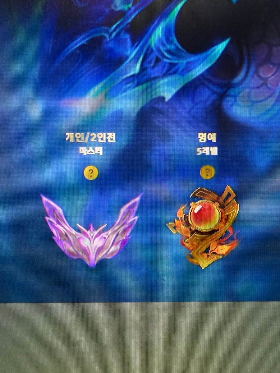 치비 tweet media