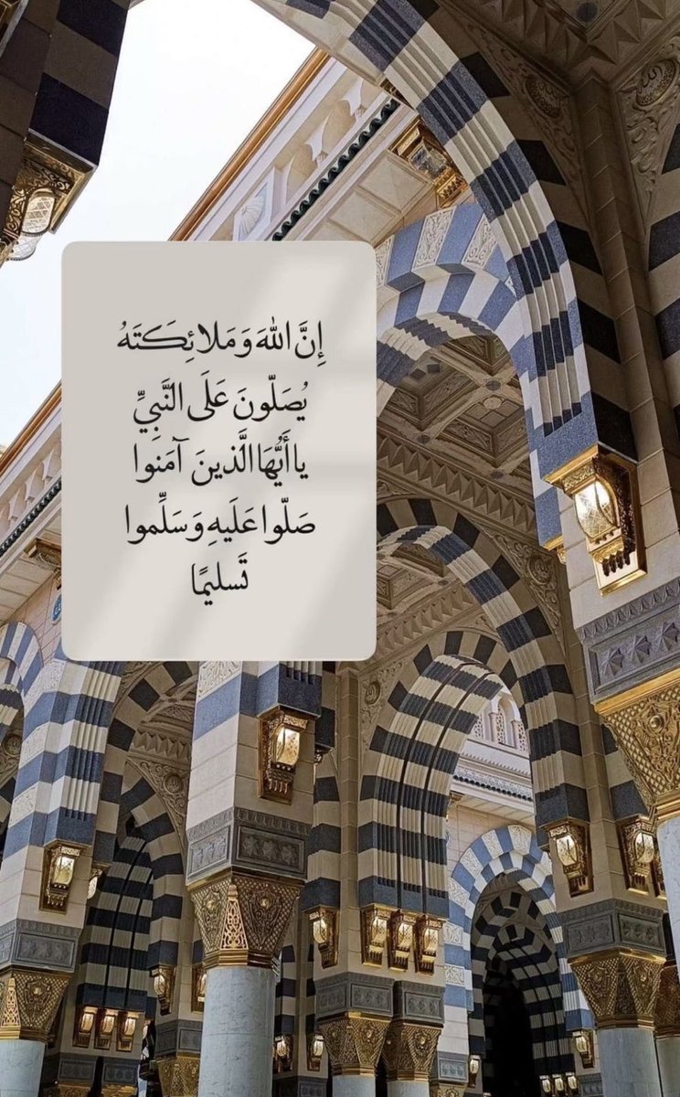 توليب ~ tweet media