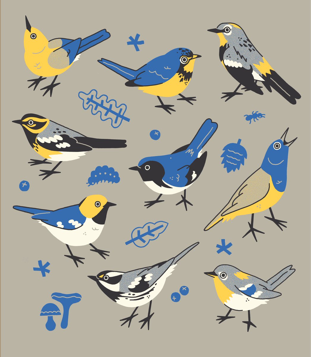 Bird 🌲🦆 tweet media