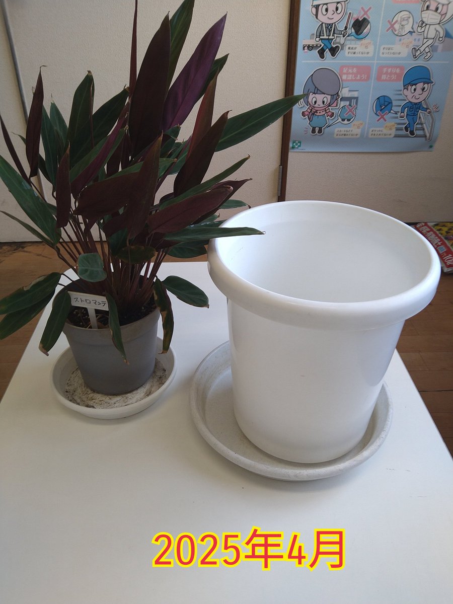 TKGのひで© tweet media