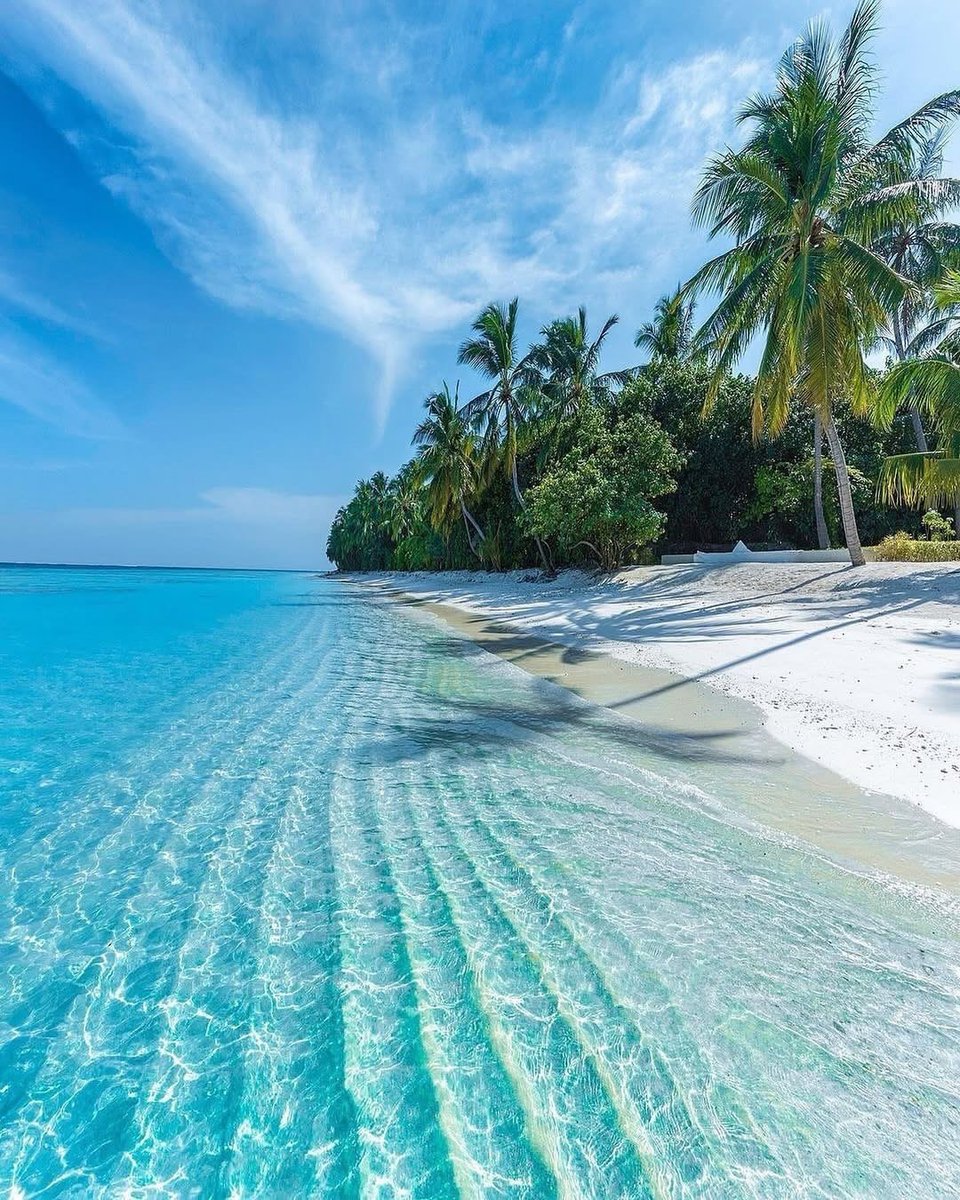 water_diaries's tweet photo. 📍Maldives 🇲🇻 https://t.co/LJasW68zI6