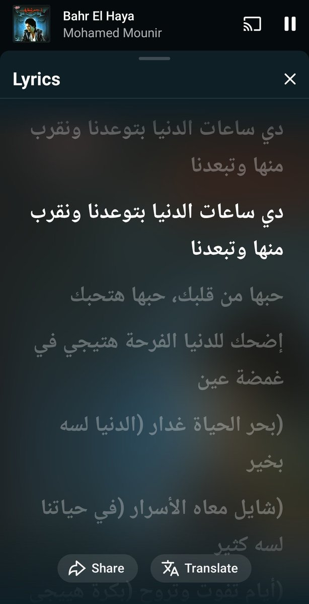Seif waleed tweet media