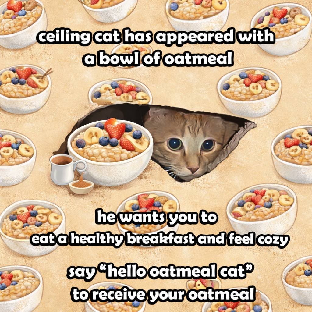 ceilingcat_sol's tweet photo. Meow https://t.co/cfa8xVEmvD