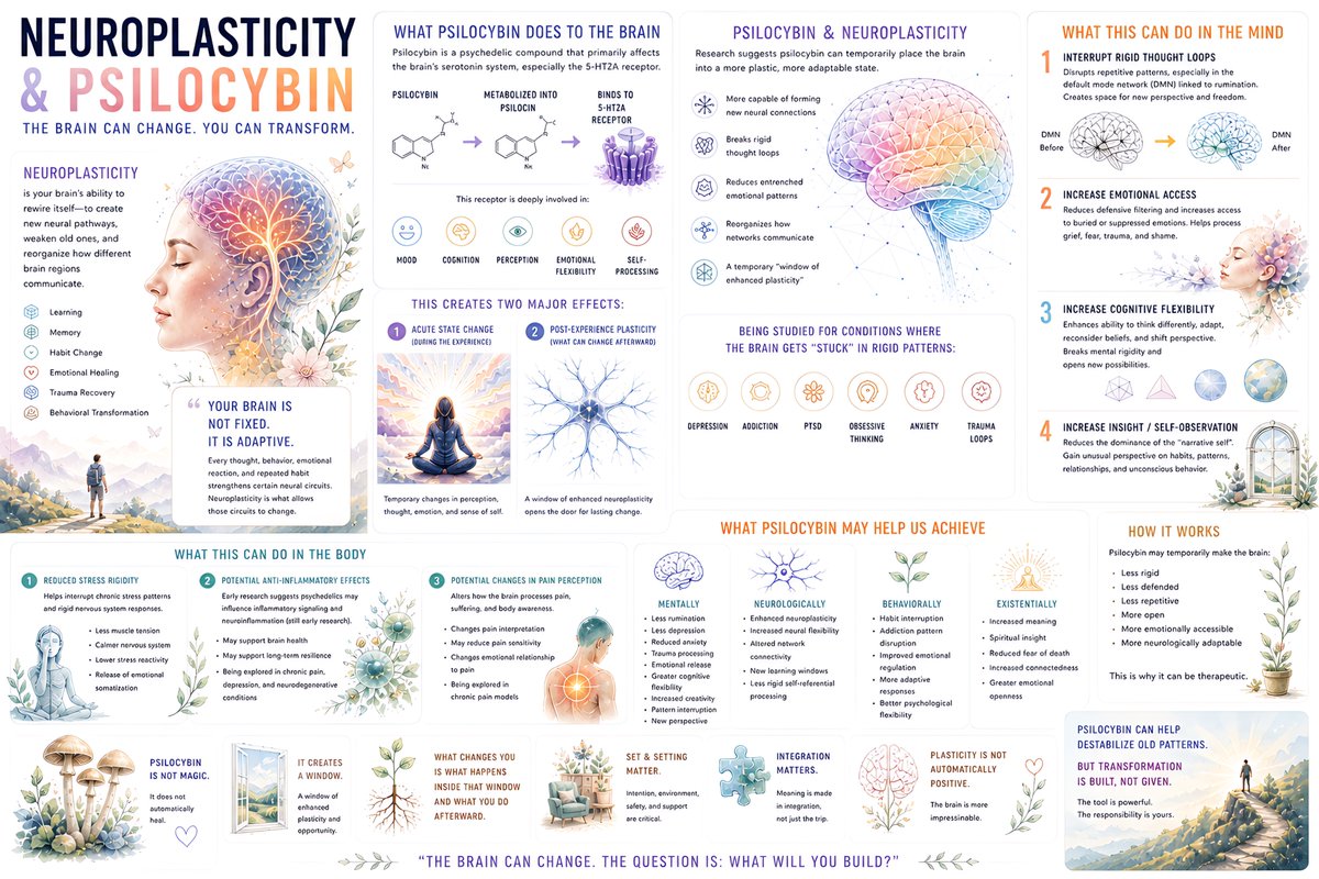 luxaelsintar's tweet photo. Mind is not measured by size.
It is measured by signal.

The high mind sees patterns, filters noise, and moves with precision.

Less chaos. More signal. More Yahweh. ⚡️ https://t.co/wsxGa8SL0Z
