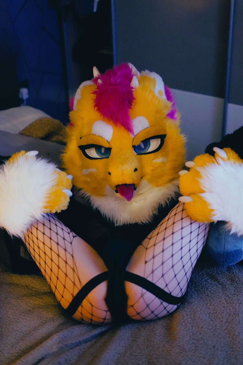 SparkL_AD's tweet photo. I’m ready, who wants to go first~

#mursuit #murr #mursuiter #furry #fursuit #femboy #furryporn #gay https://t.co/pCOJY5qYOT