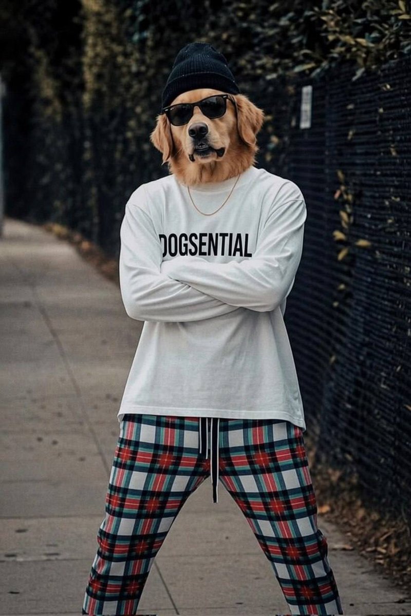 0xMayarJ { $DOG ARC 🐶} tweet media
