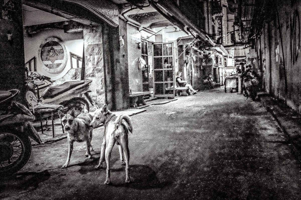 MEGACOLORPUNCH's tweet image. DSCF6941-2-3-2-2 #taiwan #台湾 #monochrome #写真 #streetphotography #モノクロ #candid #街 #龍山寺 #女性 #woman #旅 #prostitute #風景 #Travel #trip #路地 #台北 #taipei #旅行 #photo #艋舺 #萬華 #犬 #dog　#nightphotography #夜景　#night　#夜