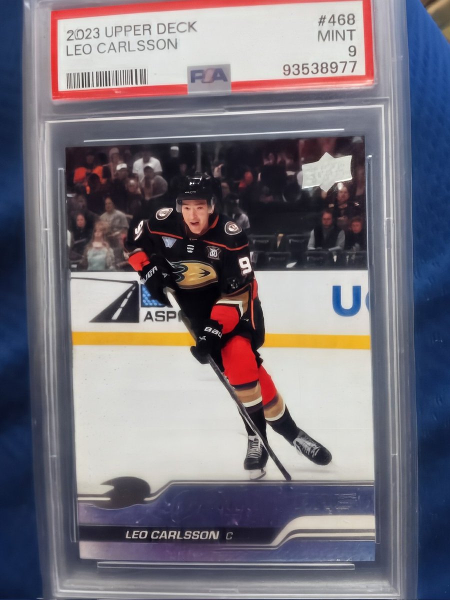 BenHymer75's tweet image. Go Ducks! #youngguns #upperdeck #anaheimducks @AnaheimDucks