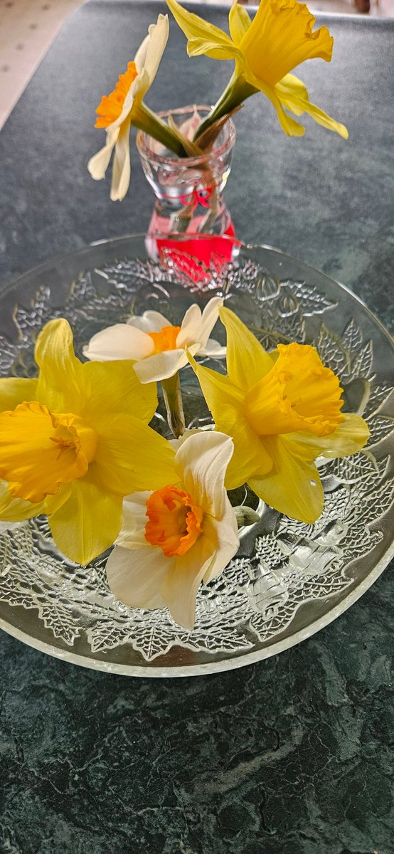 oldfarmgirlkah's tweet photo. Welcome to May
Daffodils for his momma this morning ❤️
Air will be ripe today w liquid honey any time now 😉
#WorknPlaySafe, your smile fills up someone else's heart https://t.co/TuC8K8RAfS
