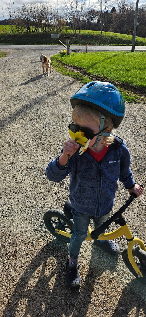 oldfarmgirlkah's tweet photo. Welcome to May
Daffodils for his momma this morning ❤️
Air will be ripe today w liquid honey any time now 😉
#WorknPlaySafe, your smile fills up someone else's heart https://t.co/TuC8K8RAfS