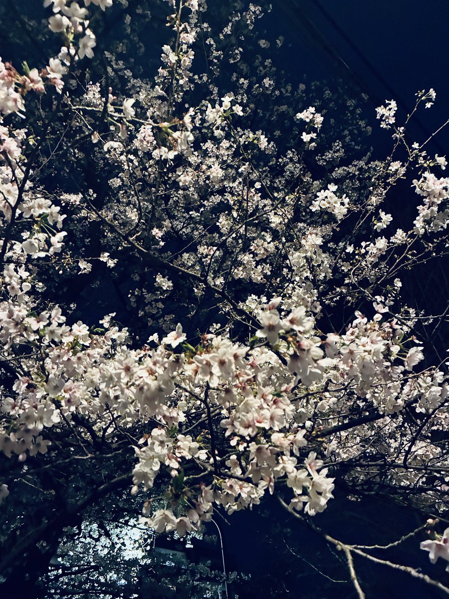 chichiyas_'s tweet photo. ４月楽しかった！
５月も楽しもう〜✨ https://t.co/2s1PX538YZ
