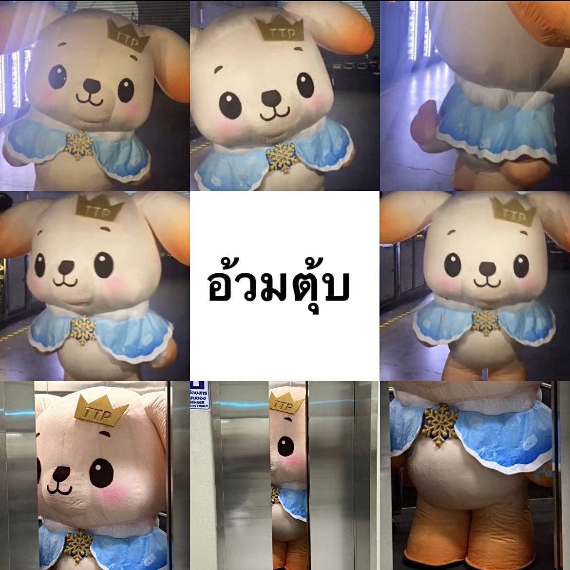 อัณญ่า Ი⑅𐑼 tweet media