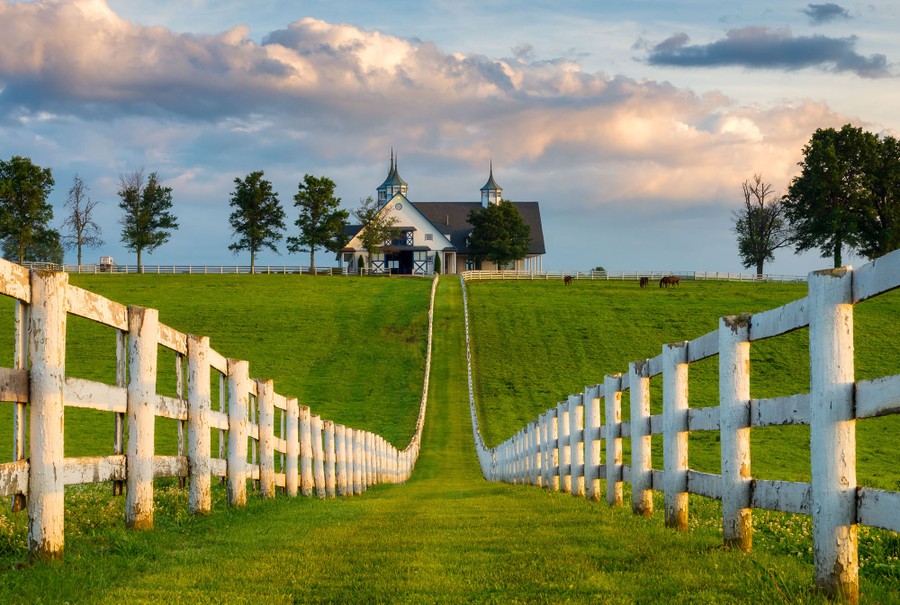 LeonardsGizzard's tweet image. #goodfriday morning and Happy #KentuckyDerby Eve also known as #oaksday from the Beautiful Bluegrass State, #Kentucky 🏇
