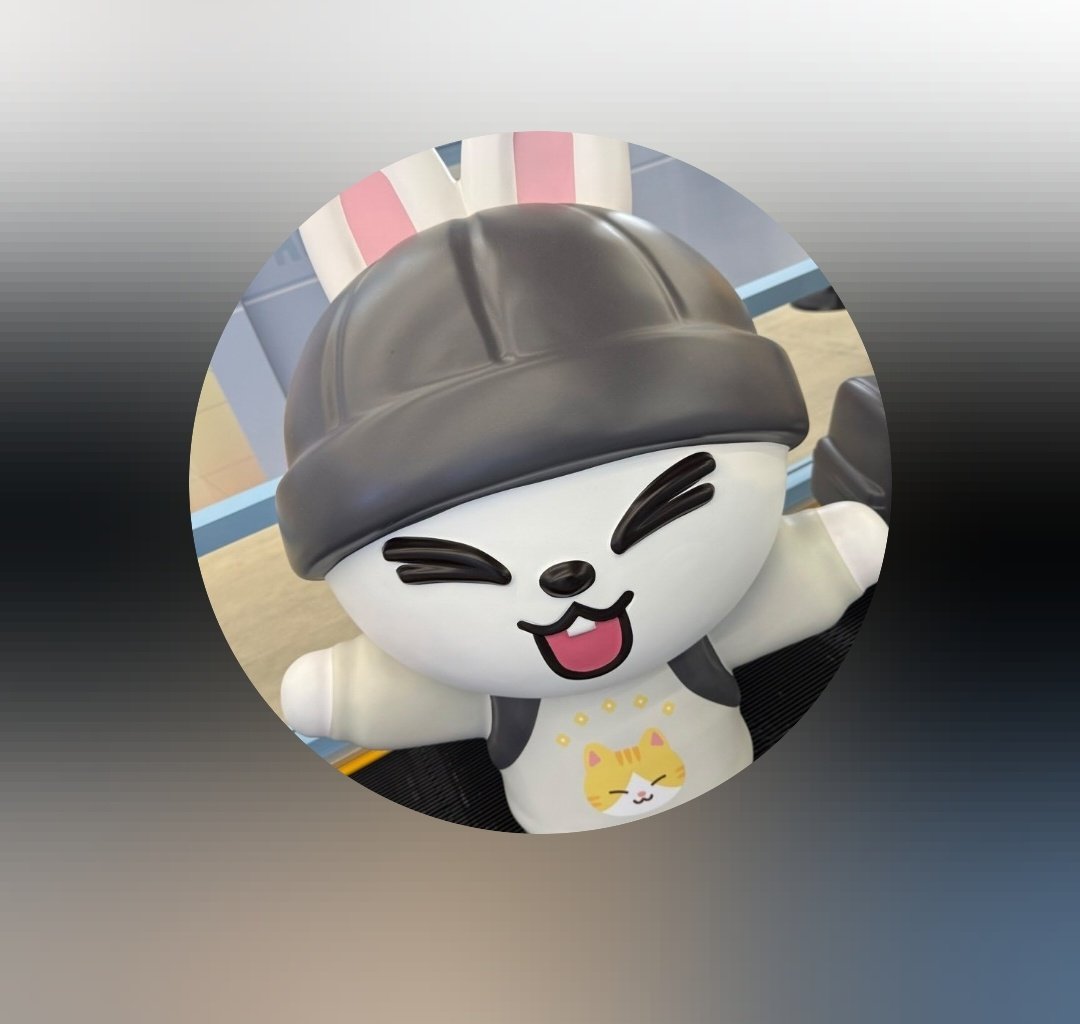 점선면 tweet media