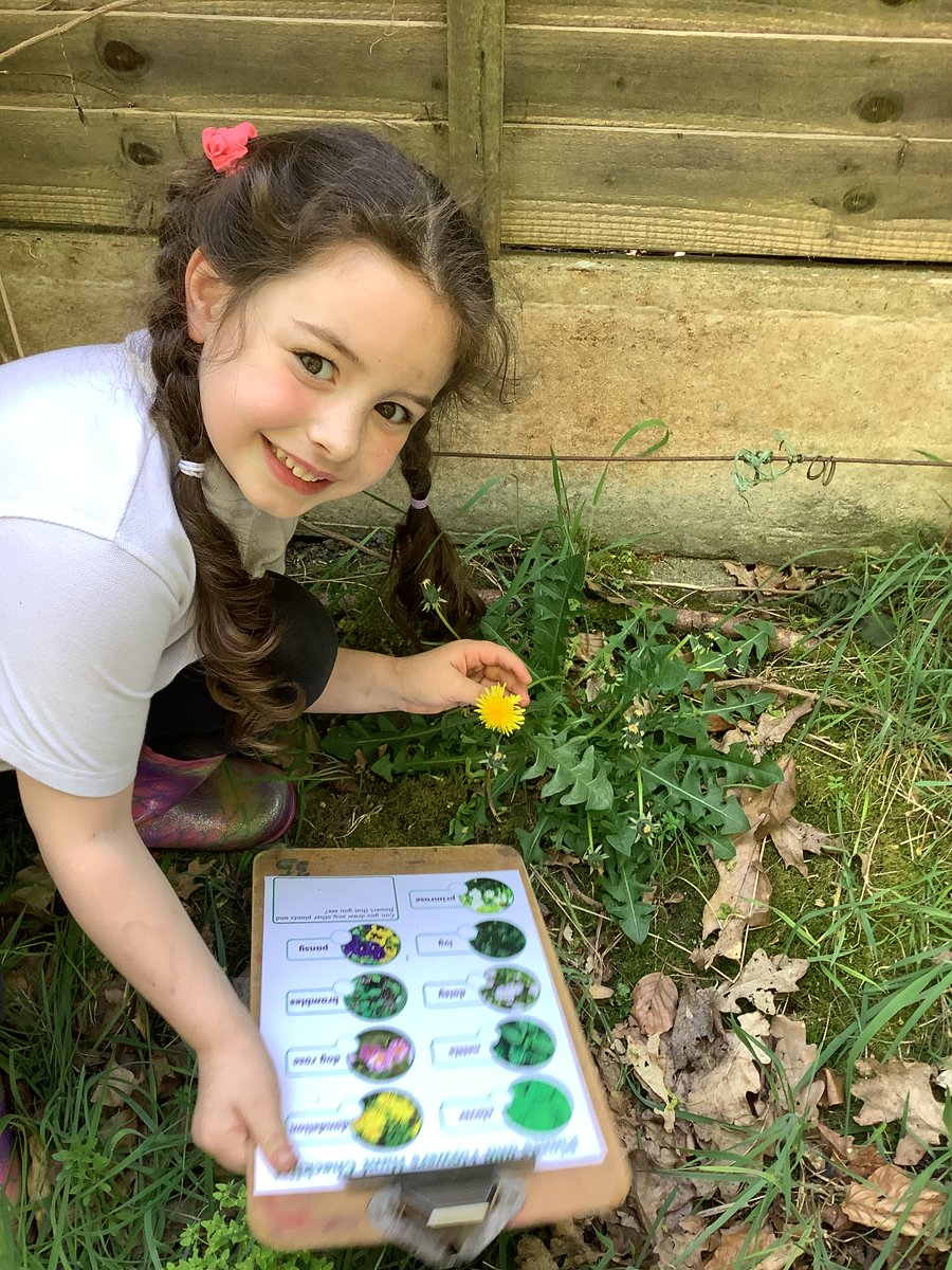 CranfordParkCE's tweet image. Linked to their #science topic about plants, #Year1 went around our forest school identifying some of the plants on our site. There was also time to enjoy the glorious spring weather!

#forestschool #natureexplorers