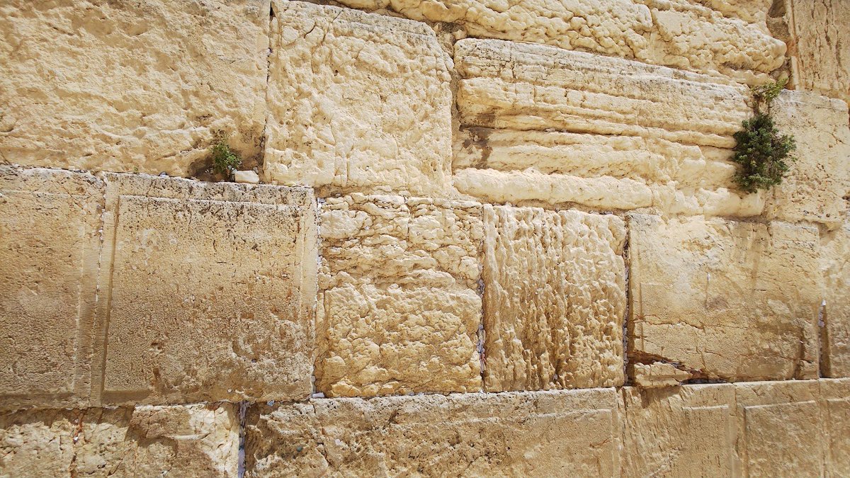 Taniuchi139's tweet photo. שבת שלום ומבורך! https://t.co/ez88BIqR6B