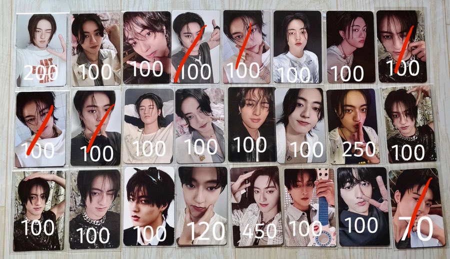 not shy tweet media