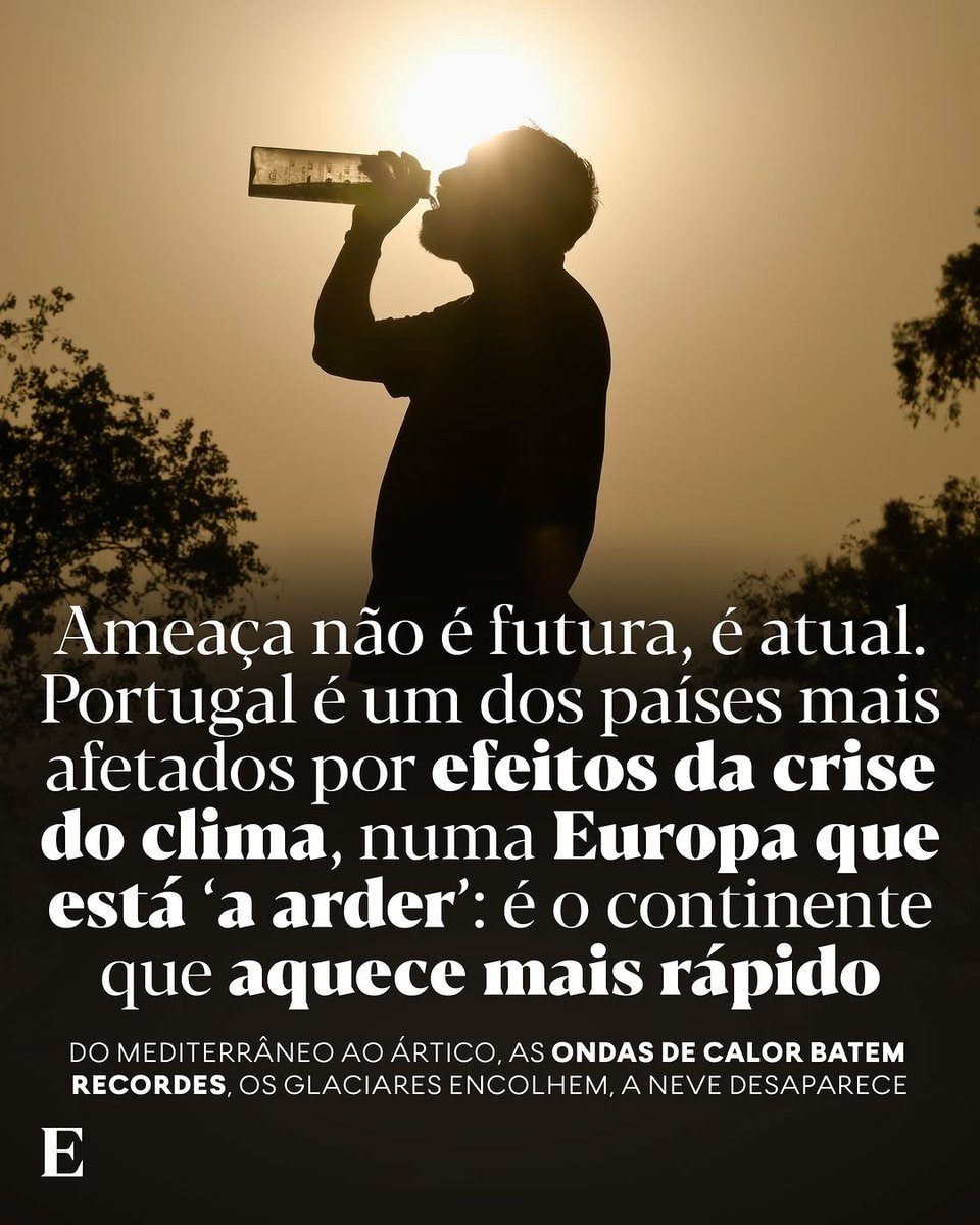 Rui Lima tweet media