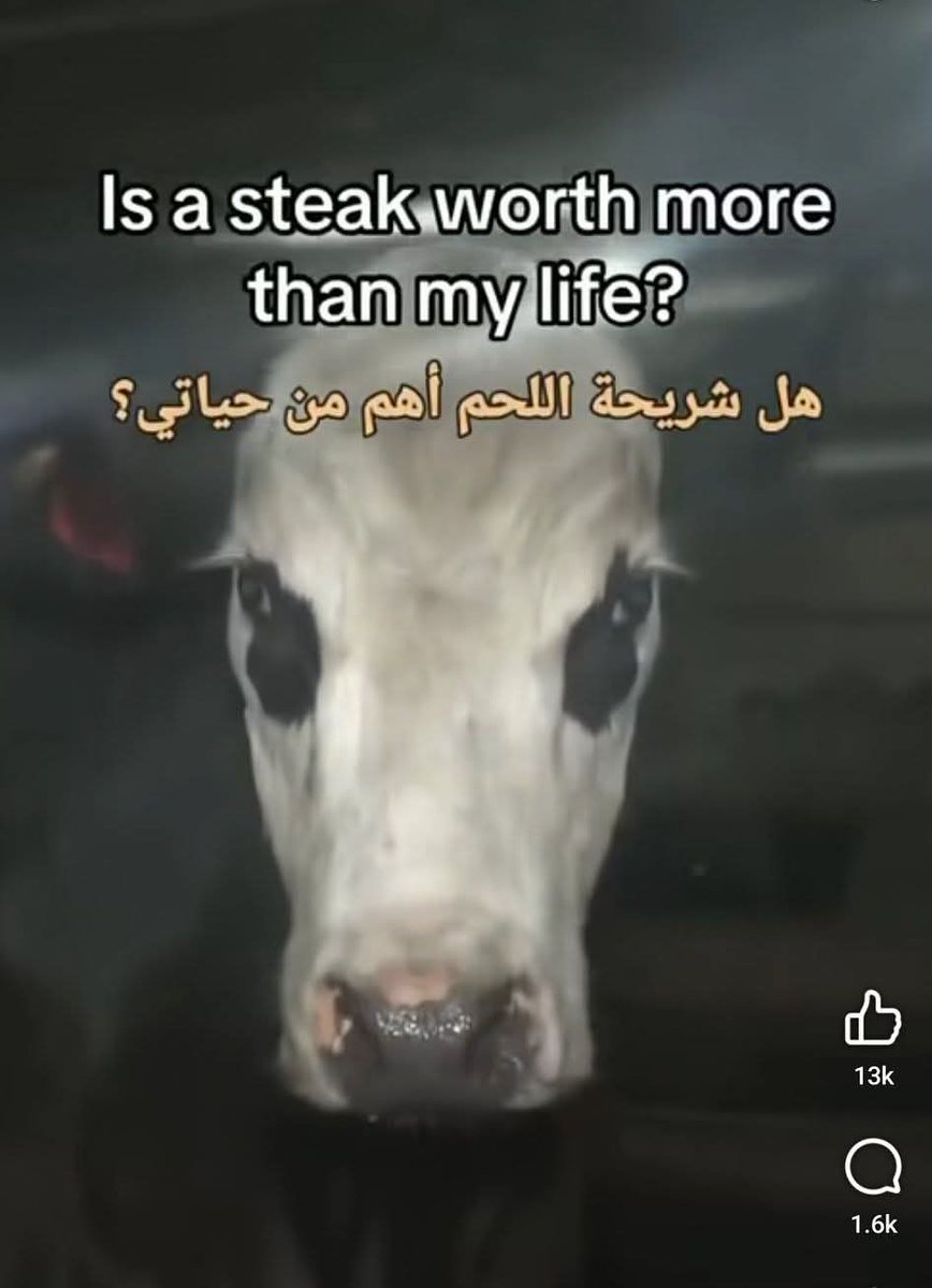 بتر الخواطر tweet media
